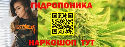 apvp Славгород